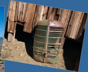 Berlin-Ichthyosaur SP, NV