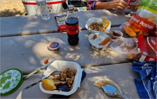 Berlin-Ichthyosaur SP, NV