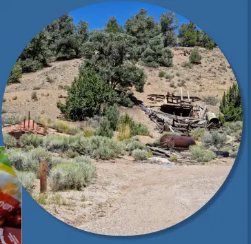 Berlin-Ichthyosaur SP, NV