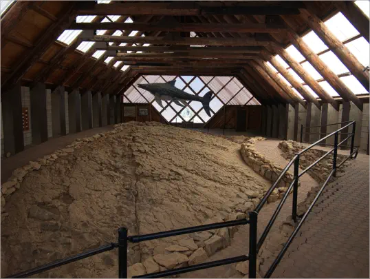 Berlin-Ichthyosaur SP, NV