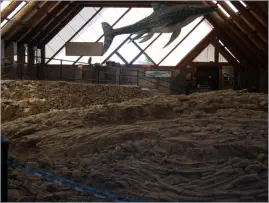 Berlin-Ichthyosaur SP, NV