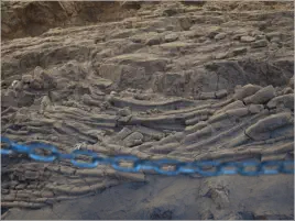 Berlin-Ichthyosaur SP, NV