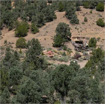 Berlin-Ichthyosaur SP, NV