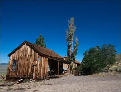 Berlin-Ichthyosaur SP, NV