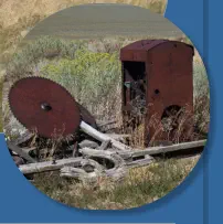 Berlin-Ichthyosaur SP, NV