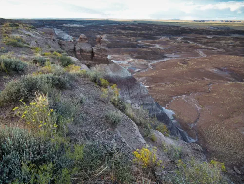 Blue Mesa Trail - Petrified Forest NP - AZ