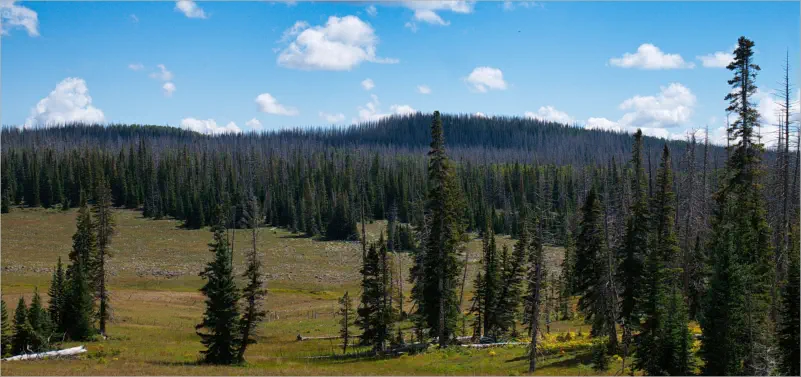 Cedar Breaks National Monument - Utah