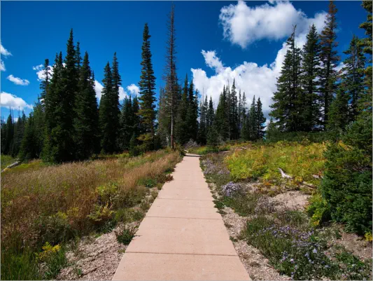 Cedar Breaks National Monument - Utah