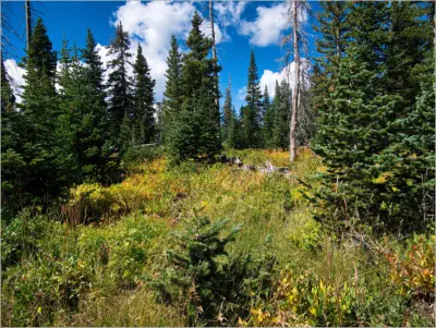 Cedar Breaks National Monument - Utah
