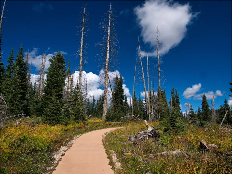 Cedar Breaks National Monument - Utah