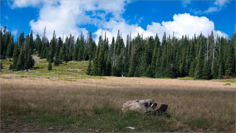 Cedar Breaks National Monument - Utah