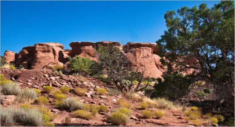 Colorado National Monument - Colorado