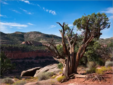Colorado National Monument - Colorado