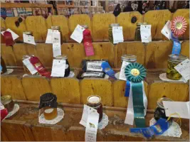 Fair & Rodeo September 2023 in Holbrook, AZ