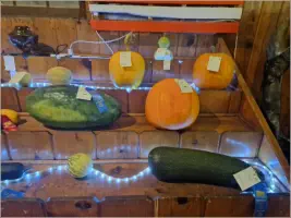 Fair & Rodeo September 2023 in Holbrook, AZ