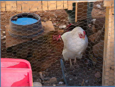 Frontier Homestead State Park Museum - Cedar City, Utah