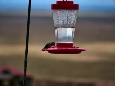 Great Sand Dunes National Park - Colorado