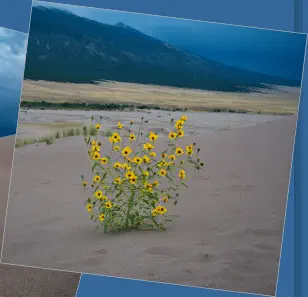 Great Sand Dunes National Park - Colorado