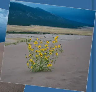 Great Sand Dunes National Park - Colorado
