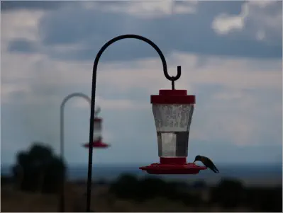 Great Sand Dunes National Park - Colorado