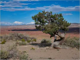 Interstate 70 - Utah