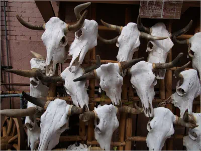 Santa Fé - New Mexico