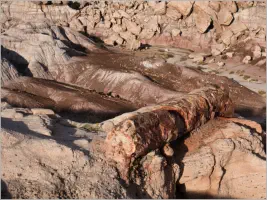 The Tepees - Petrified Forest NP - AZ