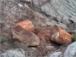 The Tepees - Petrified Forest NP - AZ