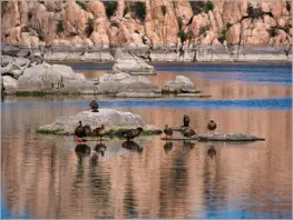 Watson Lake - Arizona
