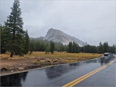 Yosemite NP - Tioga Road - Lembert Dome