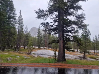 Yosemite NP - Tioga Road - Lembert Dome