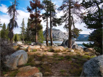 Yosemite NP - Tioga Road - Tenaya Lake