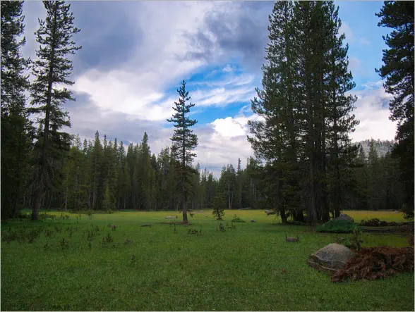 Yosemite NP - Tioga Road - Tenaya Lake