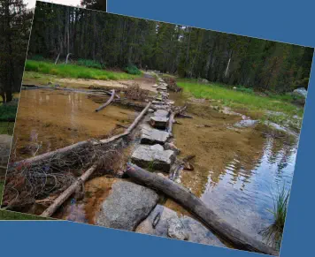 Yosemite NP - Tioga Road - Tenaya Lake