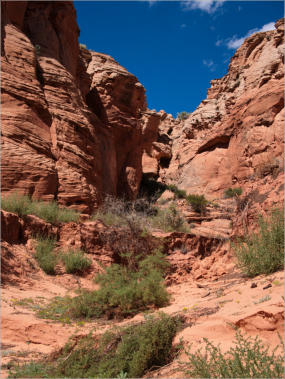 Antelope Canyon X - Page, AZ
