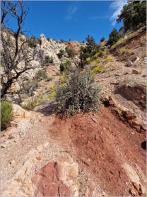 Aufstieg zum Yellow Rock an der Cottonwood Canyon Road, UT