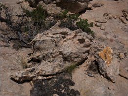 Cottonwood Canyon Road - UT