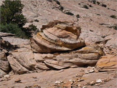 Cottonwood Canyon Road - UT