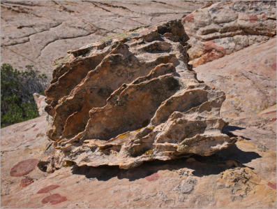 Cottonwood Canyon Road - UT