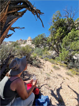 Cottonwood Canyon Road - UT