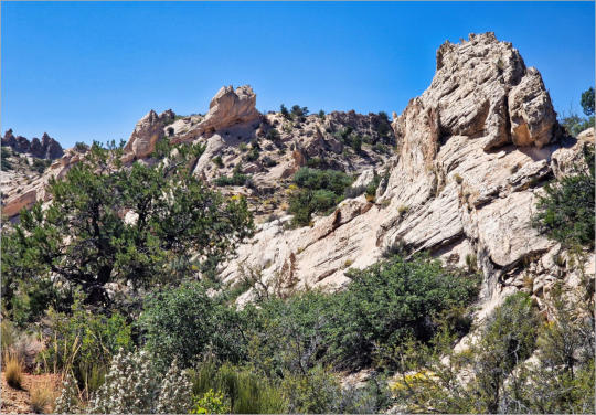 Cottonwood Canyon Road - UT