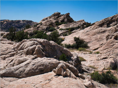 Cottonwood Canyon Road - UT