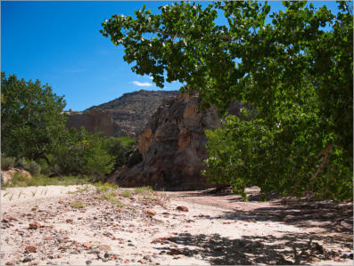 Cottonwood Canyon Road - UT