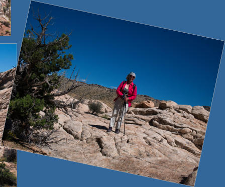 Cottonwood Canyon Road - UT