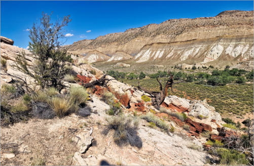 Cottonwood Canyon Road - UT