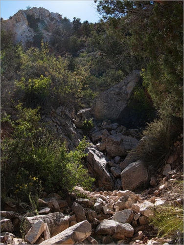 Cottonwood Canyon Road - UT