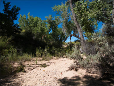 Cottonwood Canyon Road - UT