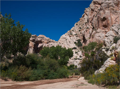Cottonwood Canyon Road - UT