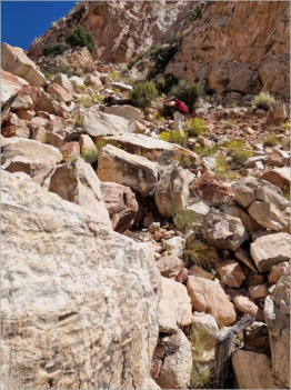 Cottonwood Canyon Road - UT