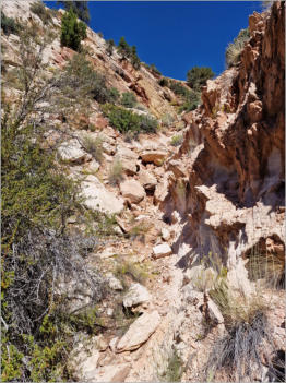 Cottonwood Canyon Road - UT